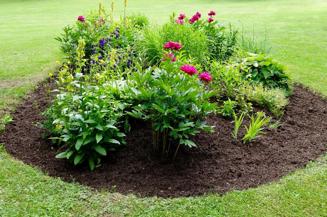 Ein bunter Garten mit verschiedenen blühenden Blumen in lebendigen Farben